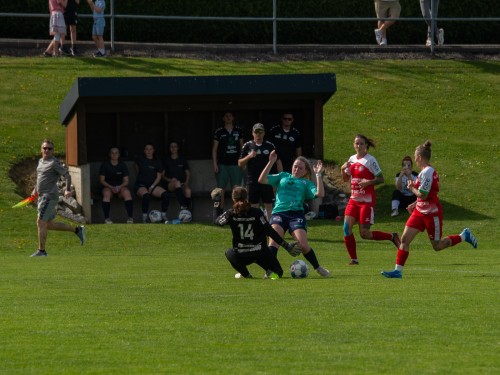 ried-steyr_1-1_07-04-2024-028.jpeg