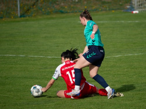 ried-steyr_1-1_07-04-2024-081.jpeg