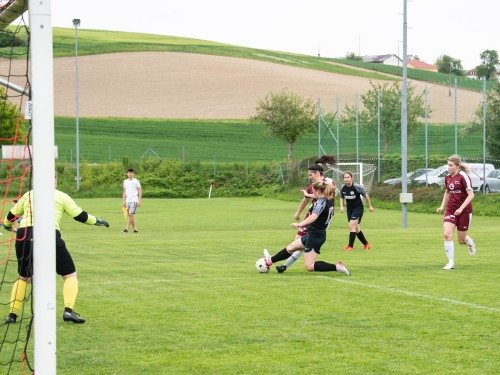 aspach-vorchdorf_3-0_27-04-2024-012.jpeg