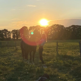 Screenshot_20240118-1407592