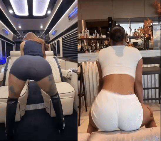 Cardi-B-and-Megan-Thee-Stallion.gif