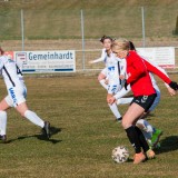 geretsberg-lask_1-2_27-02-2022-_60